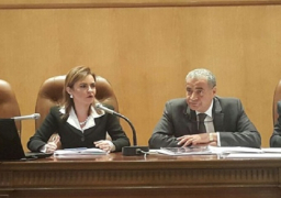 مجلس النواب يقر برنامج الدعم السعودي لمصر