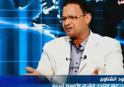 أمين عام منتدى الشرق الأوسط يطالب العرب بالجلوس على طاولة المفاوضات مع إيران