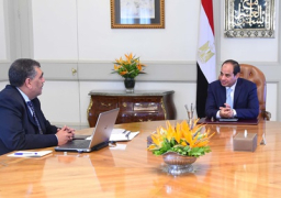 الشرقاوي لـ«السيسي»: 1.8 مليار جنيه صافي ربح شركات القطاع العام