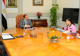 الرئيس السيسي يوافق على إنشاء مجلس أعلى للاستثمار برئاسته