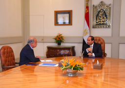 الرئيس السيسي يكلف رئيس مجلس الوزراء برئاسة وفد مصر في القمة العربية
