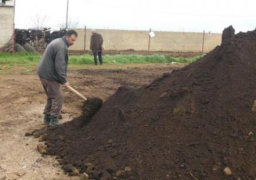 إنتاج 15 طنا شهريا من السماد بتكلفة 80 جنيها للطن