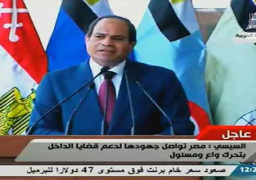 السيسي: نستكمل تحقيق اهداف ثورة يوليو وان اختلفت السبل استجابة للظروف الراهنة