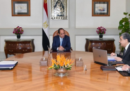 السيسي يوجه بأهمية الاستمرار في جهود تعزيز خطوط نقل الكهرباء لتحسين الخدمة للمواطنين