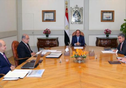 السيسي يجتمع بإسماعيل ووزيري السياحة والطيران لاستعراض سُبل استعادة الحركة السياحية
