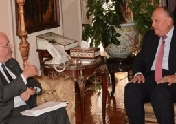 شكري وعريقات يبحثان تطورات القضية الفلسطينية ومستقبل السلام بالشرق الأوسط