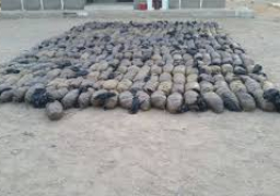 قوات حرس الحدود تدمر نفقا وتقتل تكفيريا بشمال سيناء