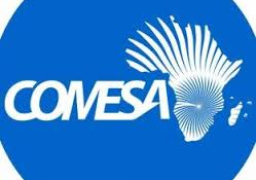 الكوميسا : إنتشار المحمول عزز من نمو التجارة في القارة الافريقية