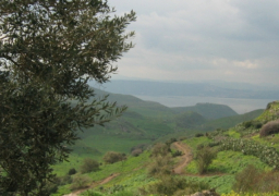 إسرائيل تطالب ترامب بالاعتراف بسيادتها على الجولان