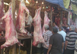 “الزراعة” تطلق حملة لتخفيض أسعار اللحوم استعدادا للعيد..وتوفرها بـ 58 للكيلو