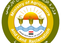 الزراعة توفر مبيدات مكافحة سوسة النخيل بـ”نصف الثمن”