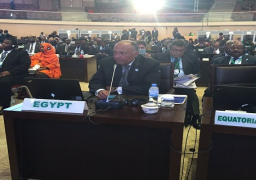 شكري: على المحكمة الجنائية الدولية التعامل بشكلِ متساوِ مع انتهاكات جميع الدول