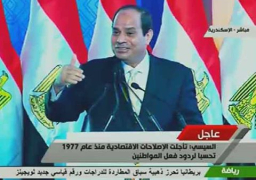 الرئيس السيسي:تناقص الاستثمارات في الغاز الطبيعي أضاع علينا فرص اكتشاف حقول جديدة