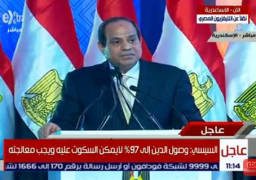 الرئيس السيسى : لن اتردد فى اتخاذ قرارات صعبة لمصلحة مصر .. وزيادة الكهرباء ضرورة وراعت البعد الاجتماعى