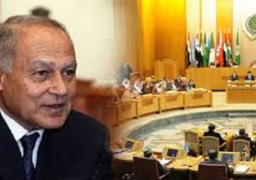 أبو الغيط يؤكد أهمية دور الجامعة العربية في دعم وتعزيز حقوق الإنسان