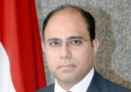 الخارجية : لا نتدخل في مسار العلاقات العربية مع الدول الأخرى