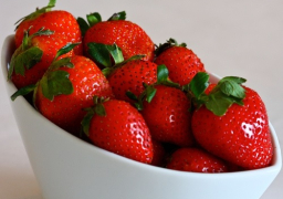 معلومات مجلس الوزراء ينفي سحب الفراولة المصرية من الأسواق الأمريكية