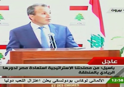 بالفيديو..جبران لشكري: مصر تمثل لنا واحة اعتدال وتتبادل مع لبنان الدور الايجابي