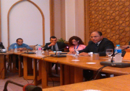 تحفظ مصر على نشر قوات حفظ السلام في جنوب السودان وبوروندي لمصلحة البلدين