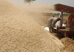 النائب العام يأمر بحبس 13 متهما في قضية التلاعب في توريد الأقماح