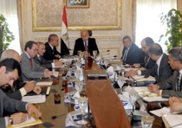 رئيس الوزراء يؤكد حرص الدولة على تقديم الدعم اللازم لـ”الريف المصري”