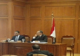 شئون البيئة تطالب بإصلاح الصرف الصحى بالمنطقة الصناعية لتأثيرها على بحيرة المنزلة