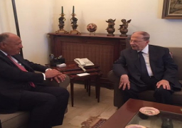 شكري يبحث الأوضاع السياسية الداخلية بلقاءات ثنائية مع القيادات السياسية اللبنانية