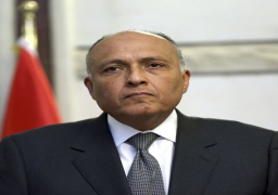 وزير الخارجية يعلن تسليم رسالة خطية من الرئيس السيسي إلى سعد الحريرى