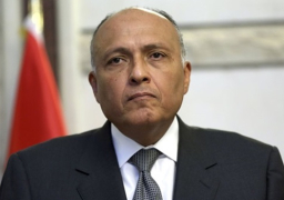 شكري: حديث وزير خارجية تركيا بشأن مصر متناقض ويدعو للاستغراب