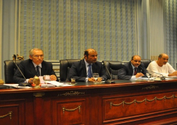 عبد العال يؤكد سقوط كل الأدوات الرقابية على وزير التموين باستقالته