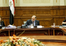 لجنة التضامن بالنواب تواصل مناقشة مشروع قانون ذوي الإعاقة