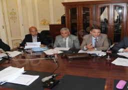 لجنة القوى العاملة توافق على تعديلات مجلس الدولة على “الخدمة المدنية”