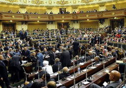 لجنتا الأمن القومي وحقوق الإنسان تناقشان مشكلة الهجرة غير الشرعية