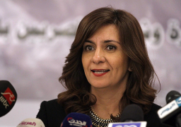 محادثات مصرية يمنية ناجحة حول المغتربين والصحة والسياحة والتعليم