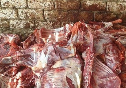 محافظ سوهاج: لجنة لكشف غموض العثور على 250 حمارا مسلوخا بأخميم