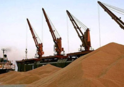 مخزون الغلال يتجاوز المليون طن بميناء الإسكندرية