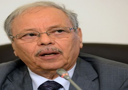 نائب أمين الجامعة العربية يطالب مجلس الأمن باتخاذ إجراءات عقابية ضد إسرائيل