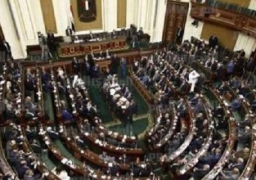 “العليا للانتخابات” تعلن الثلاثاء نتيجة انتخابات مقعد النواب في حدائق القبة