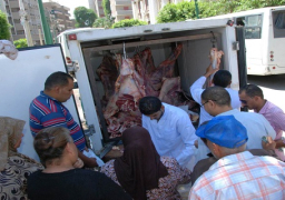 800 خروف ورأس ماشية من اللحوم الحية بأسعار مخفضة باسواق أسيوط