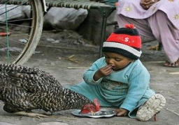 وفاة 17 ألف شخص بسبب الجوع في ولاية هندية