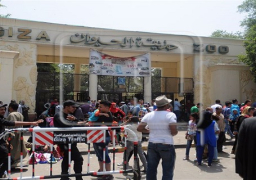 إقبال كبير من المواطنين على الحدائق والمنتزهات في اول ايام عيد الأضحى