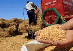 التعاقد على ٢٤٠ الف طن قمح روسى لانتاج الخبز المدعم