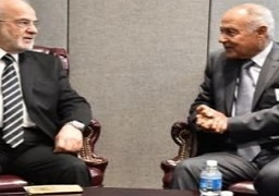 الجعفري وأبو الغيط يؤكدان ضرورة توفير الثقة والتعاون ووحدة الصف العربي