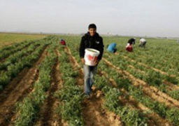 وفد من الزراعة يبحث فى موسكو اليوم رفع قيود روسيا على المحاصيل المصرية