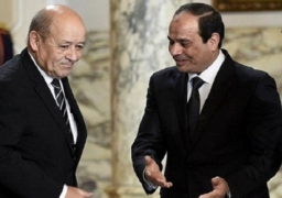 الرئيس السيسى يبحث تعزيز التعاون العسكرى مع وزير الدفاع الفرنسى