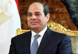 السيسي: مصر تبذل جهودا حثيثة لتحقيق السلام في سوريا