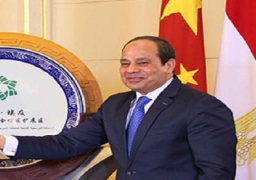 السيسى يؤكد أهمية التعامل مع ظاهرتي اللجوء والهجرة غير الشرعية بمنظور شامل