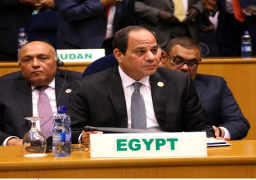 السيسى يحاول تقريب وجهات النظر بشأن تشكيل قوة إقليمية في جنوب السودان