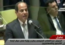 السيسي: الحكومة المصرية تبذل جهودا للقضاء على ظاهرة الهجرة ومكافحة تهريب المهاجرين