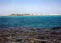 السيطرة على بقعة زيت بأحد الشواطئ في رأس غارب